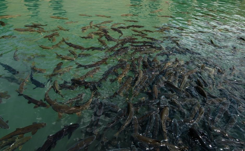 Turquía Lugares históricos que visitar en Sanliurfa