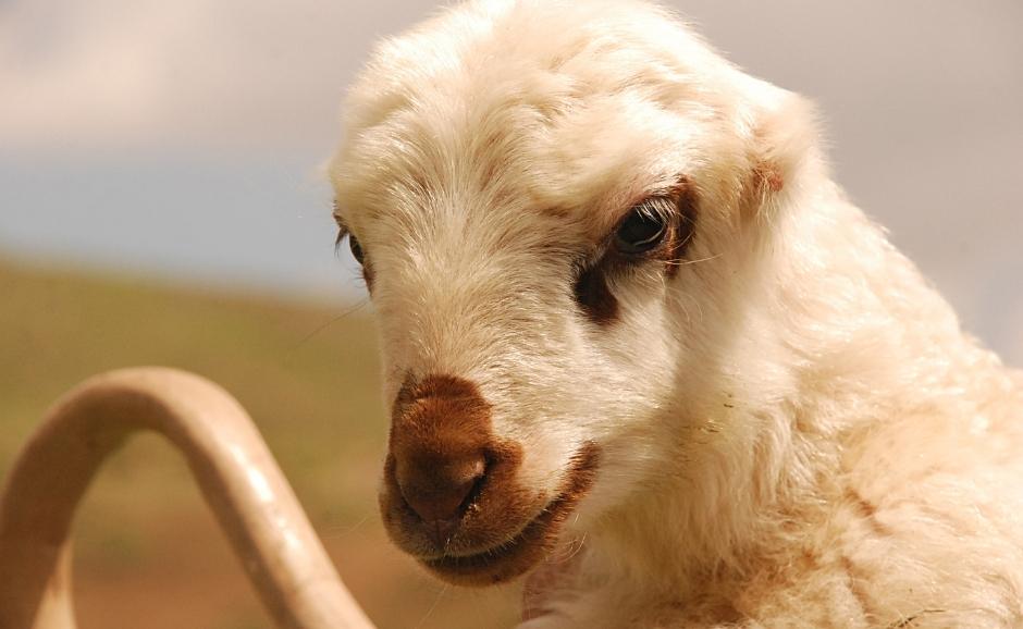 Turquía Lugares históricos que visitar en Hakkari