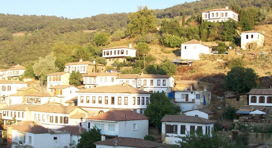 Éfeso y Templo de Artemisa y Terrazas y Pueblo de Sirince