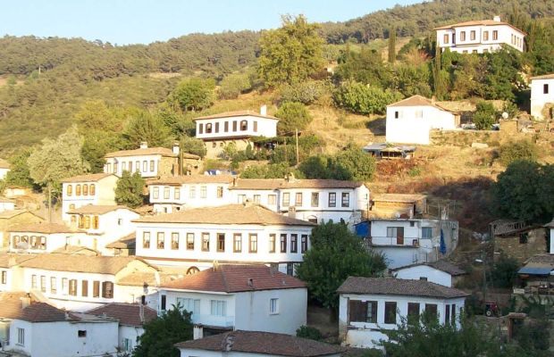 Éfeso y Templo de Artemisa y Terrazas y Pueblo de Sirince